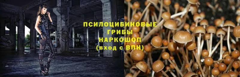 mega ССЫЛКА  закладка  Инта  Галлюциногенные грибы MAGIC MUSHROOMS 